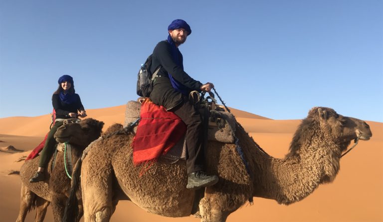 Riding Camels in the Sahara