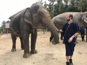 Elephants of Maerim Elephant Sanctuary