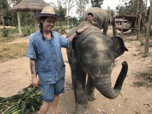 Elephants of Maerim Elephant Sanctuary
