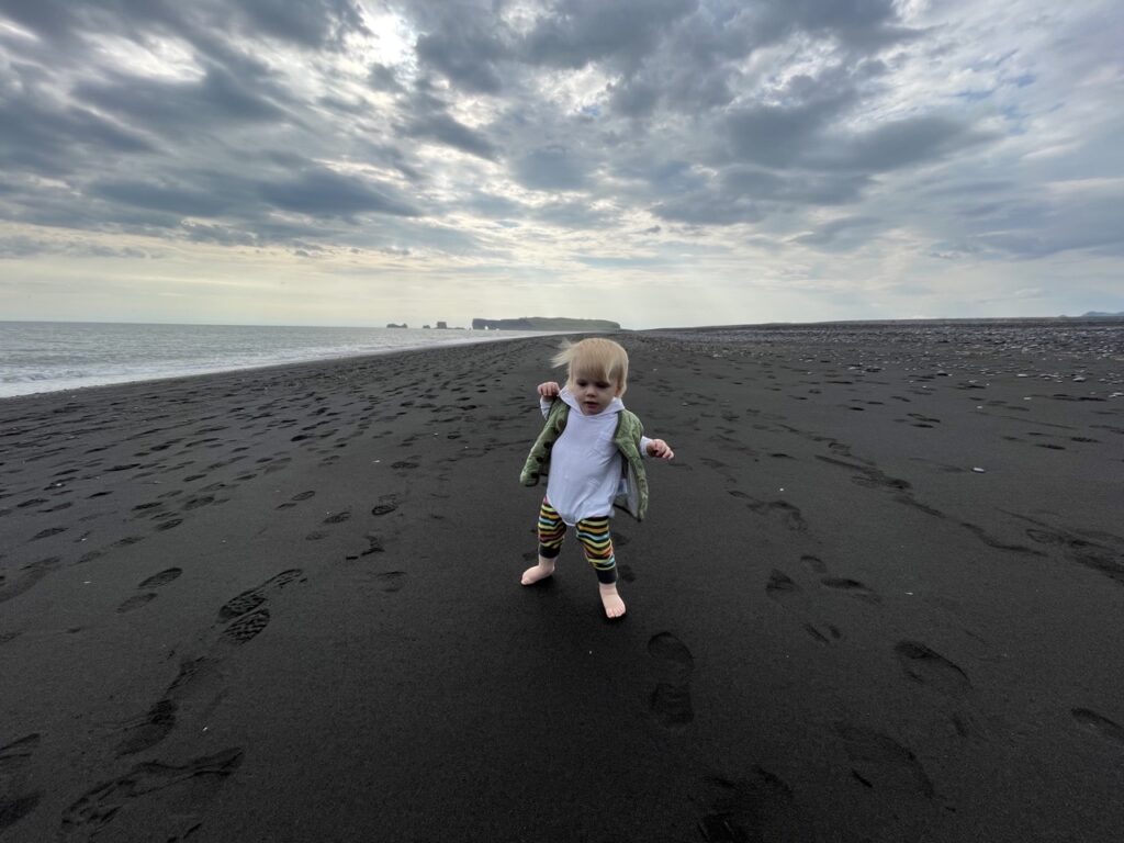 reynisfjara tour