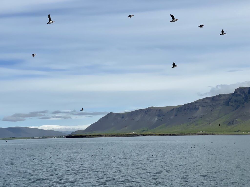 3 day tour from reykjavik