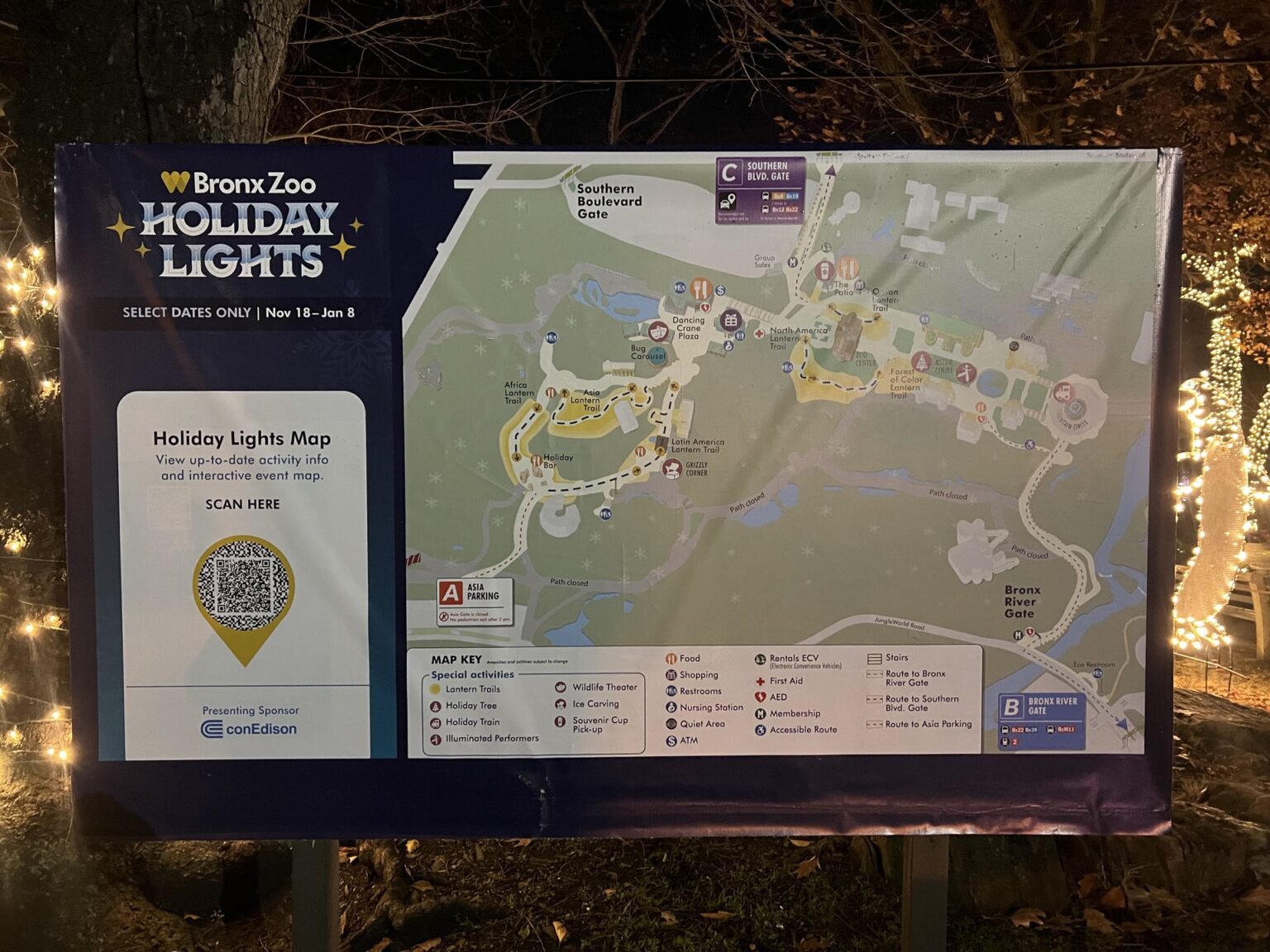 Holiday Lights at Bronx Zoo Planning Guide & Review