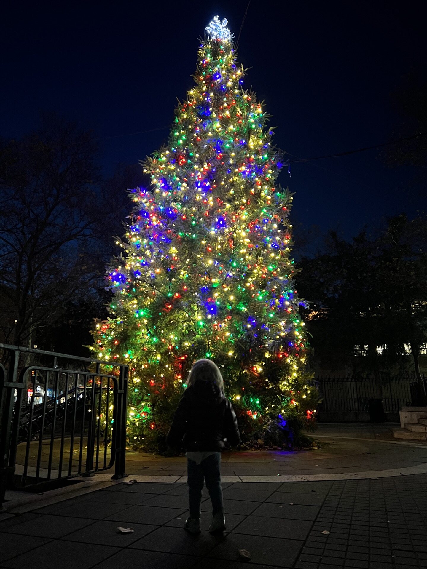 Astoria Christmas Tree Lighting Ceremonies Lattes & Runways