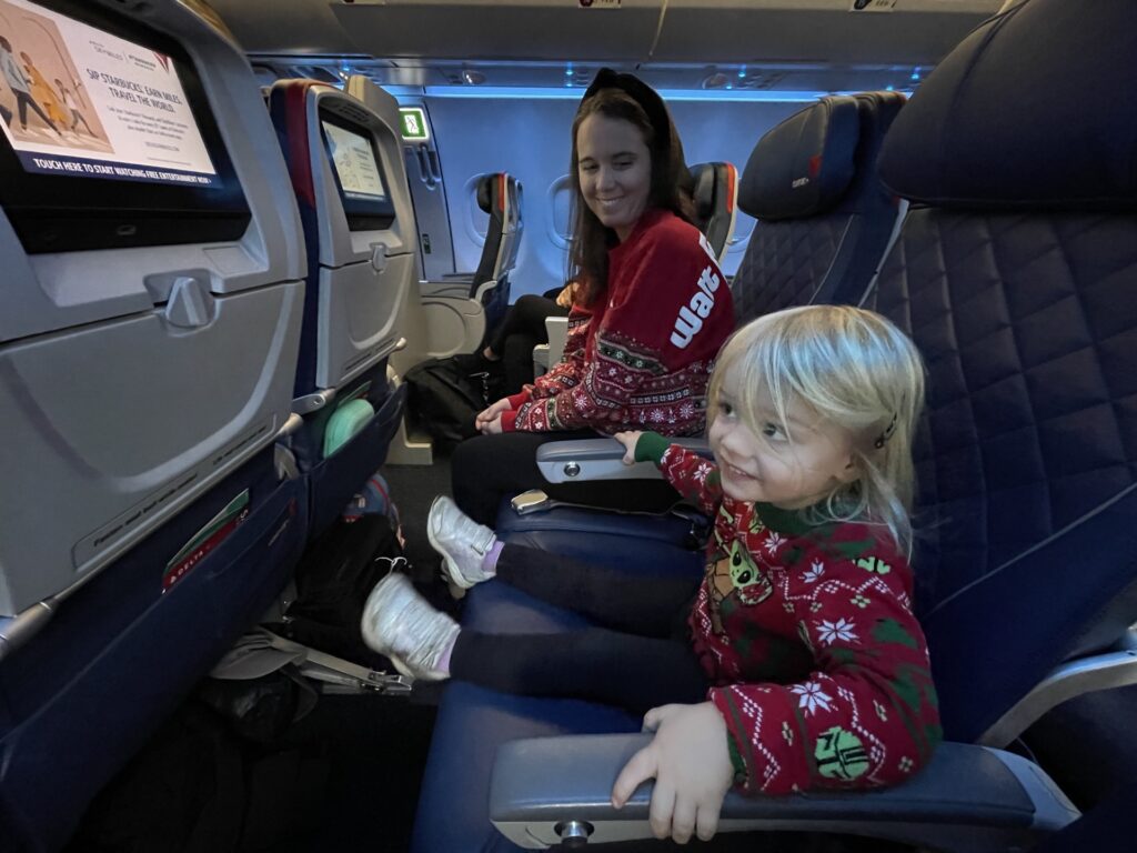 Delta airlines car 2025 seat check in