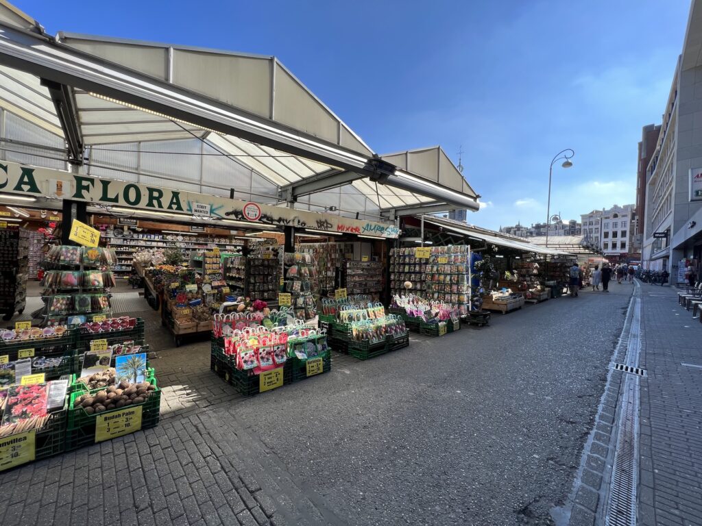 visit amsterdam with toddler