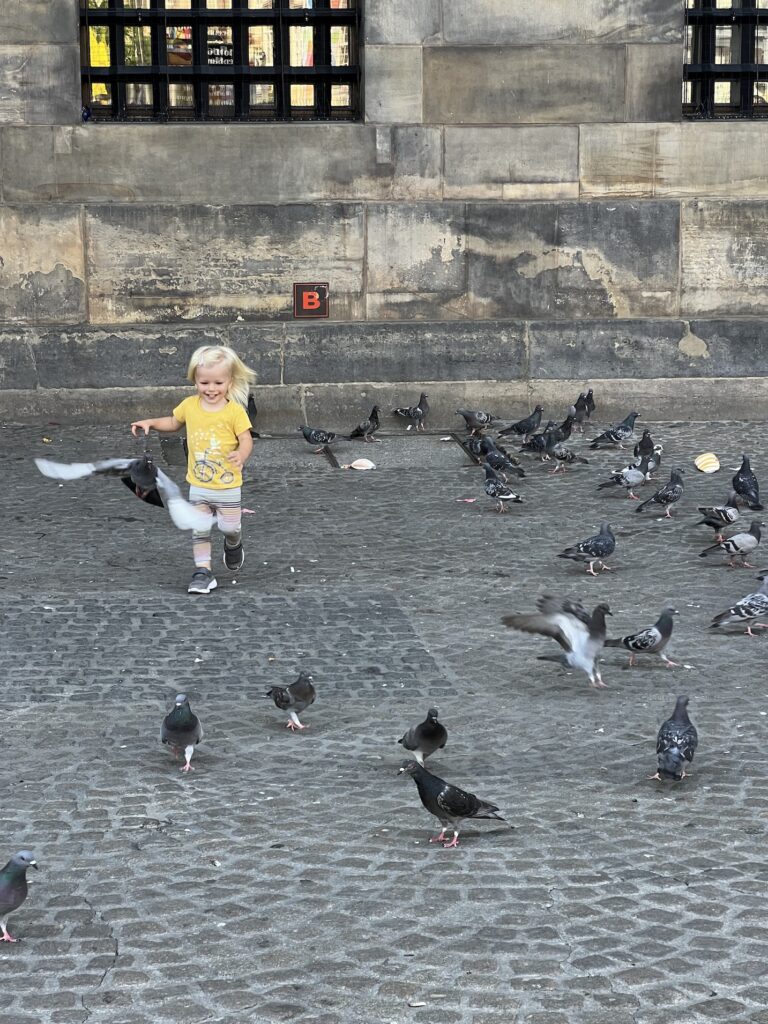 travel to netherlands with child