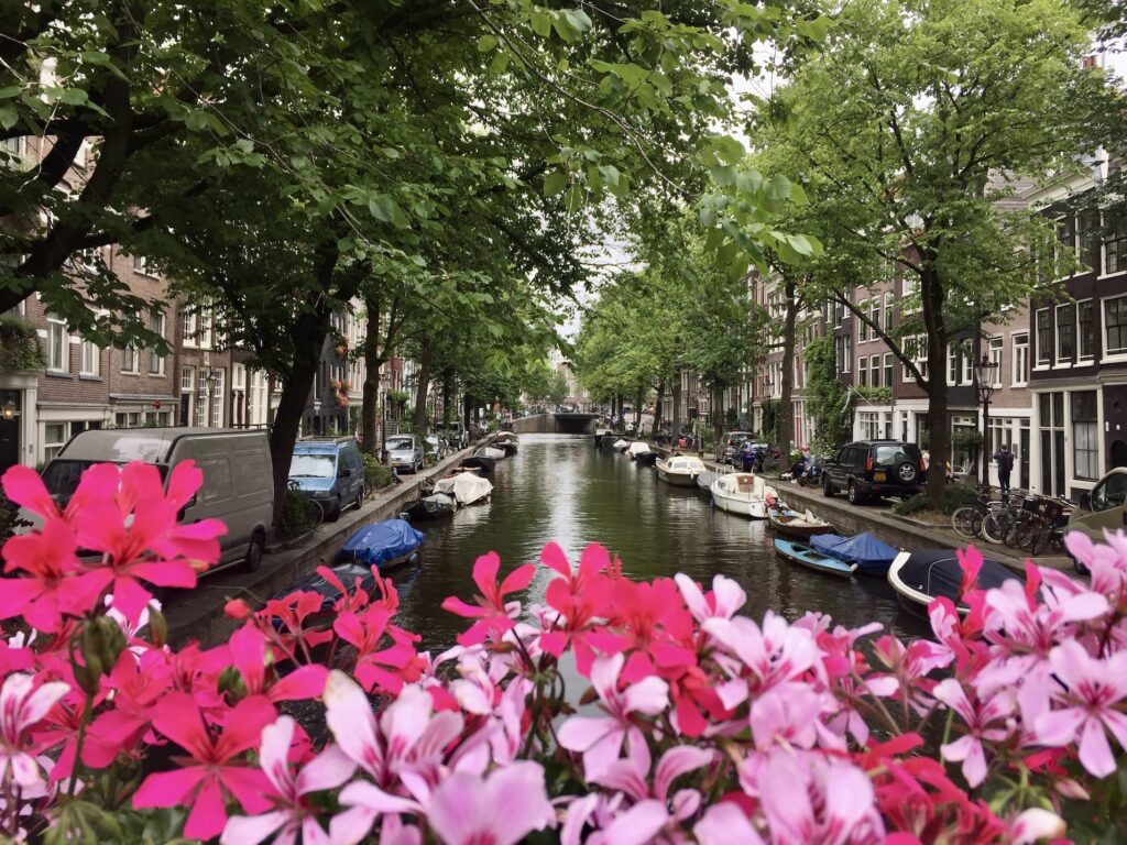 family day trips amsterdam