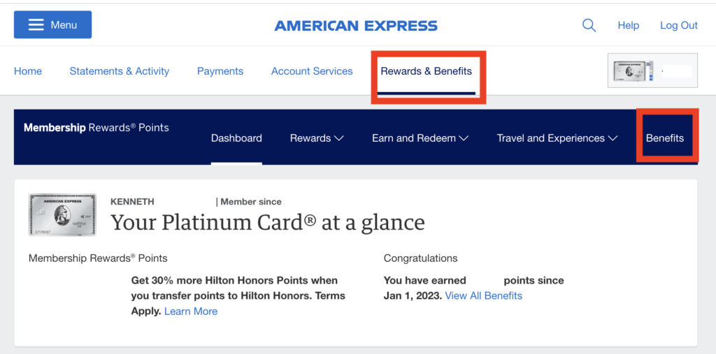 seat assignment fees amex