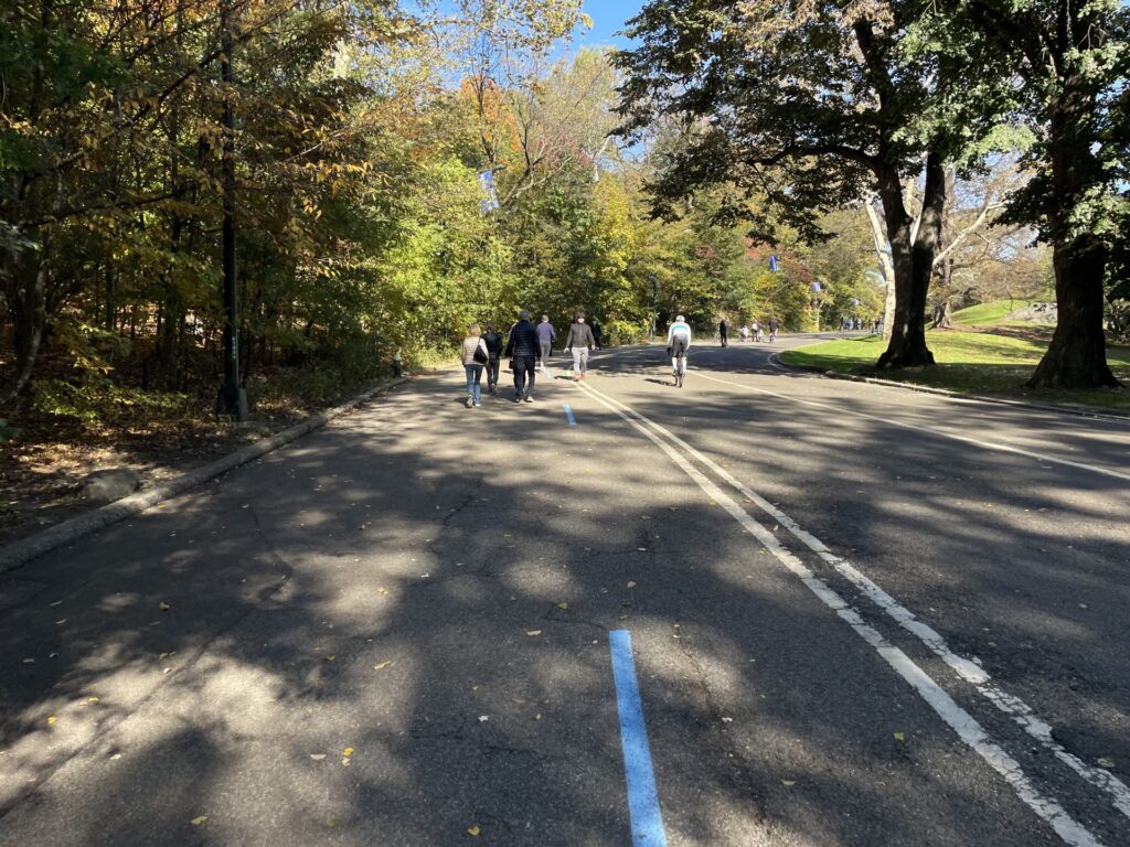 Tips for Completing the NYRR Virtual 6 (Brooklyn Half Entry) [2024]